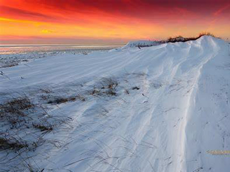 Wintry White World